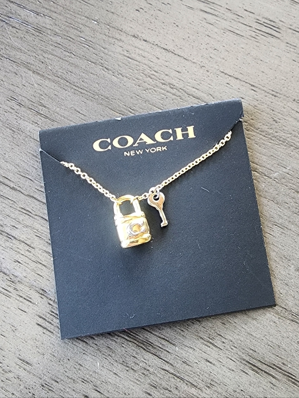 Coach Lock And Key Necklace